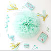 Paper Flower Balls Tissue Paper Pom Poms For  Birthday/Wedding/Party Decorations