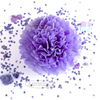 Paper Flower Balls Tissue Paper Pom Poms For  Birthday/Wedding/Party Decorations