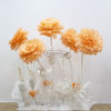 New Paper Camellia Tissue Paper Pom Poms Craft Party Decoration